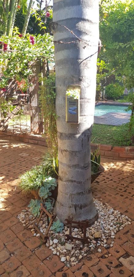 Africas Eden Guesthouse Mookgophong Bagian luar foto